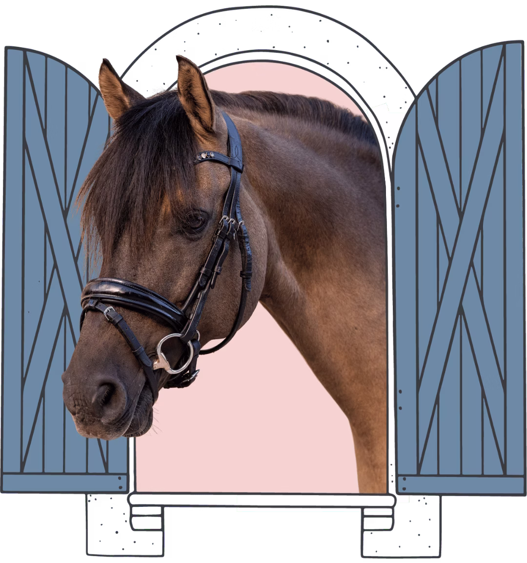 dash window
