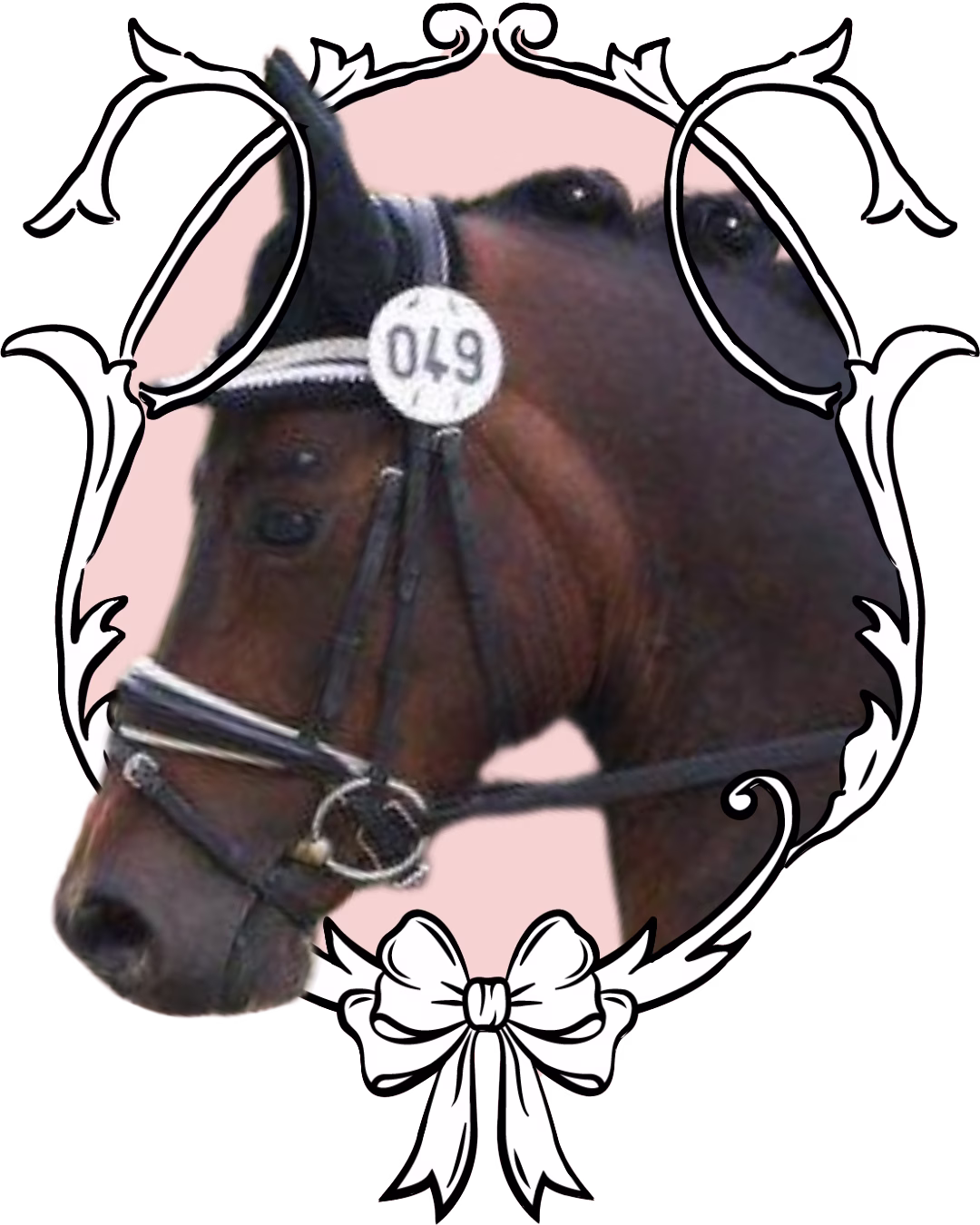 bay denmark final