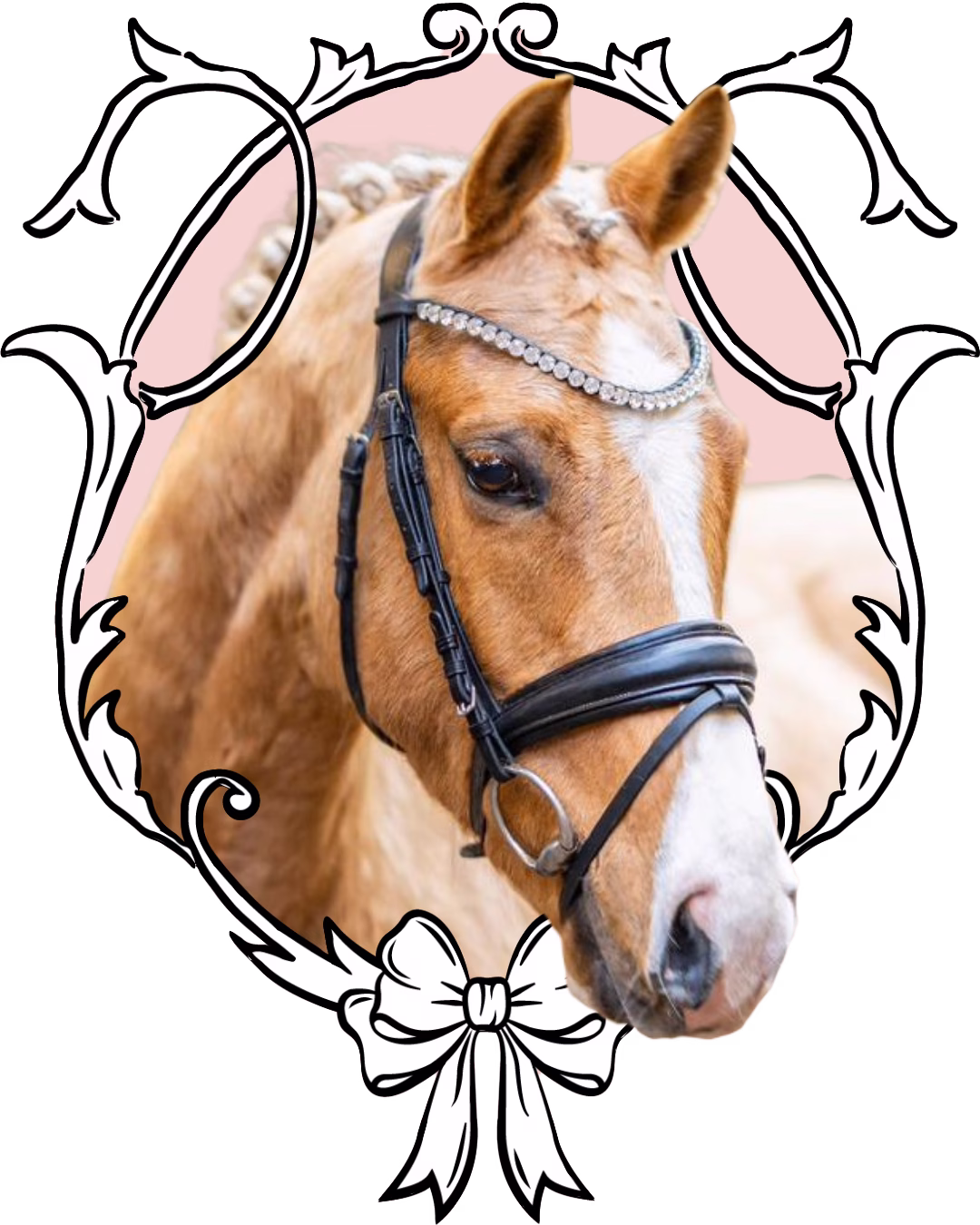 palomino germany final